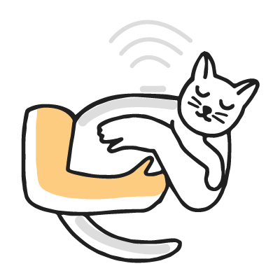 microchip para gatos